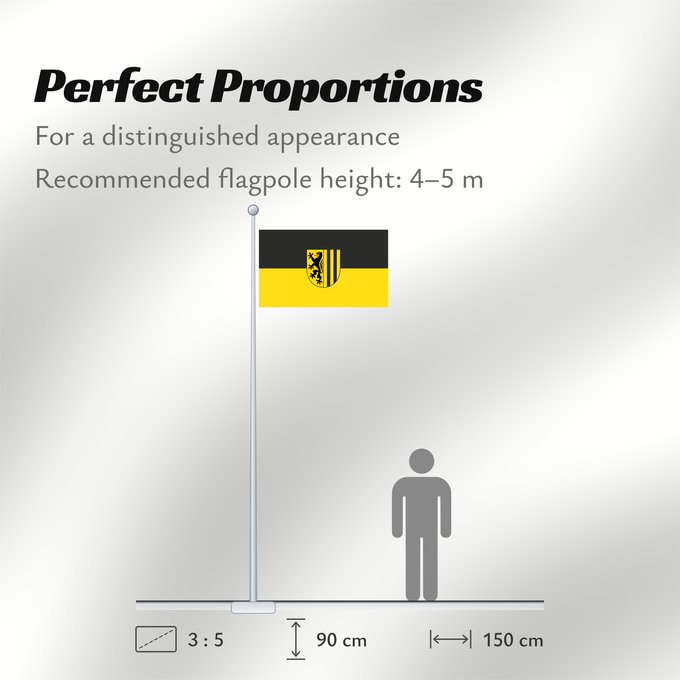 Flag Proportions: Dresden  old version	Dresden (old version)	Dresde (ancienne version)	Dresden (versión antigua)	City flag of Dresden	Dresda (vecchia versione)