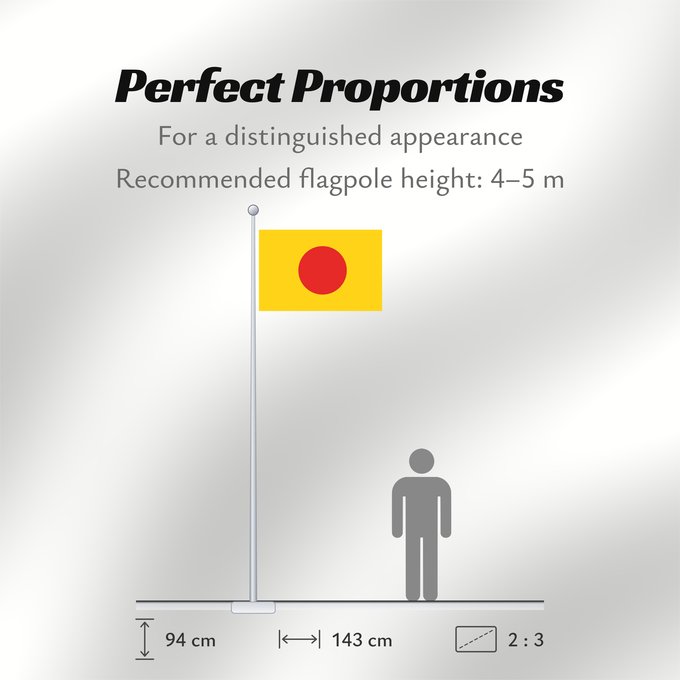 Flag Proportions: Early Nguyen Dynasty
