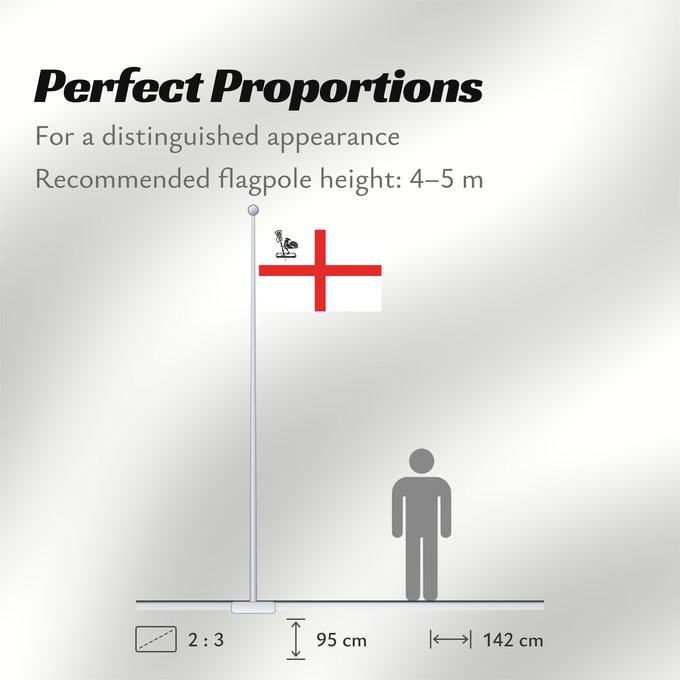 Flag Proportions: History flag of Romagna