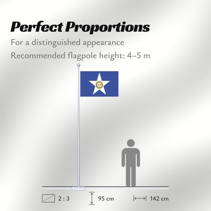 Flag Proportions: Houston, Texas Houston Ciudad de Houston