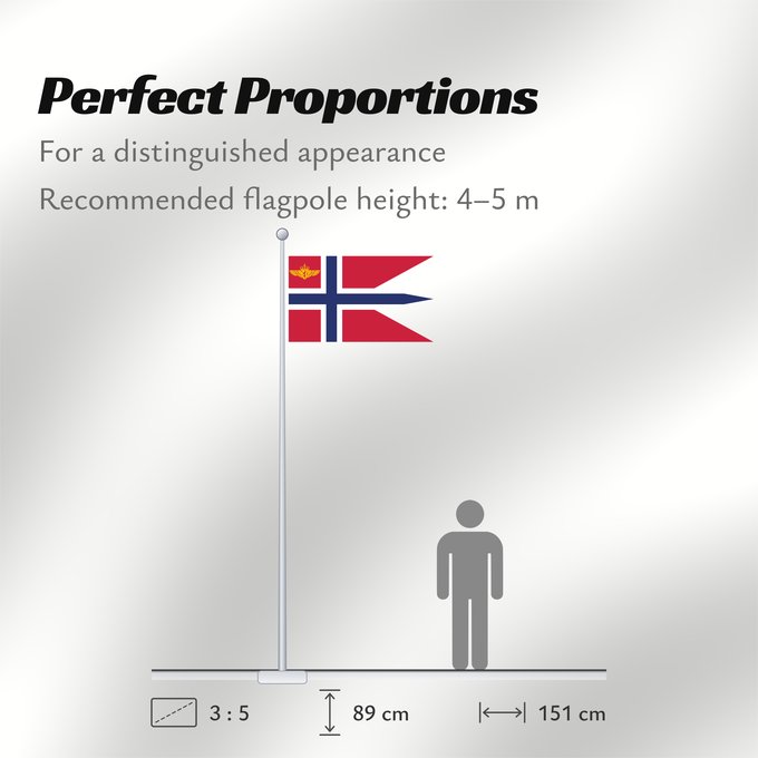 Flag Proportions: Inspector General of the Royal Norwegian Air Force Inspecteur général de la Force aérienne royale norvégienne Inspector General de la Real Fuerza Aérea Noruega Generalinspekteur der Königlich Norwegischen Luftwaffe Ispettore Generale dell'Aeronautica Real