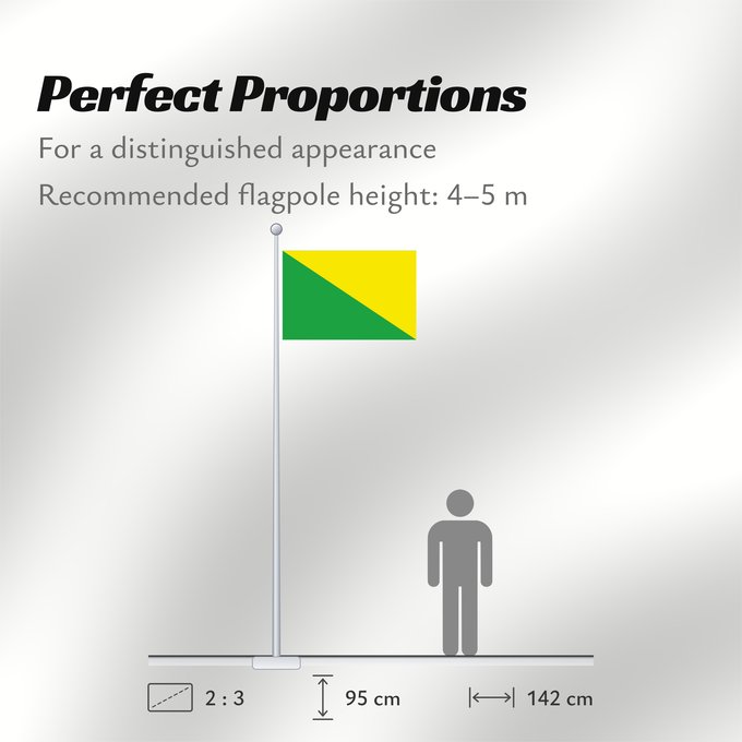 Flag Proportions: Israeli Golani Brigade Golani Brigade Brigade Golani Brigada Golani Golani-Brigade Brigata Golani דגל חטיבת גולני