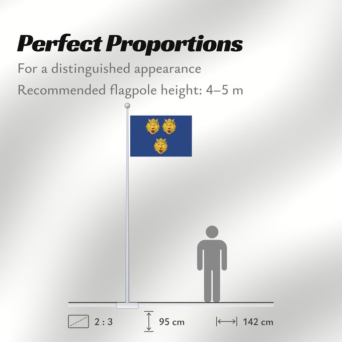 Flag Proportions: Italian irredentist Dalmatia Dalmatia used by Italian irredentists Dalmatie (irrédentiste italienne) Dalmacia (irredentista italiana) Dalmatien (Italienische Irredentisten) Dalmazia usata dai Irredentisti Italiani