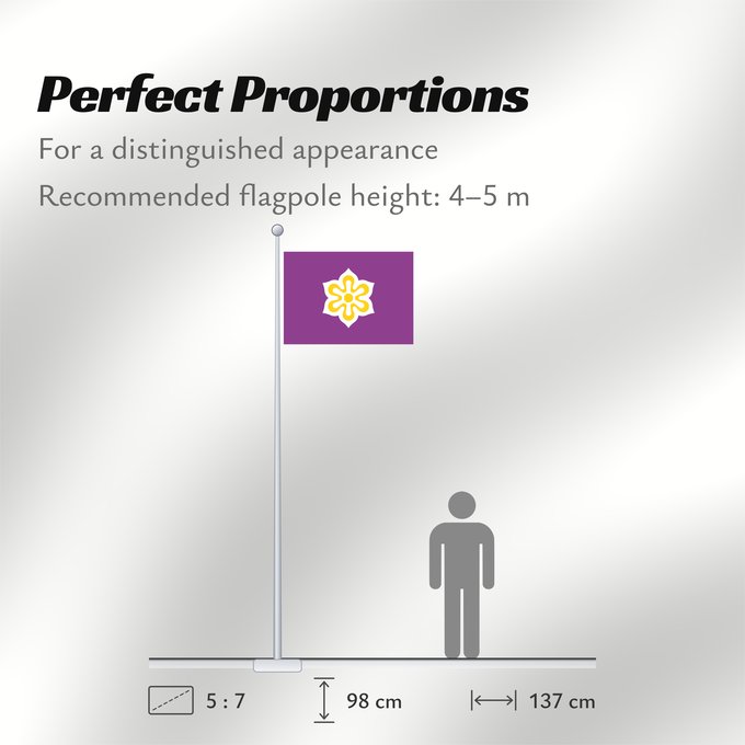 Flag Proportions: Kyoto Prefecture	Kyoto Prefecture. Published to November 2, 1976	Kyoto (2 novembre 1976)	Kyoto (2 de noviembre de 1976)	Kyoto (2. November 1976)	京都府旗（1976年11月2日制定）