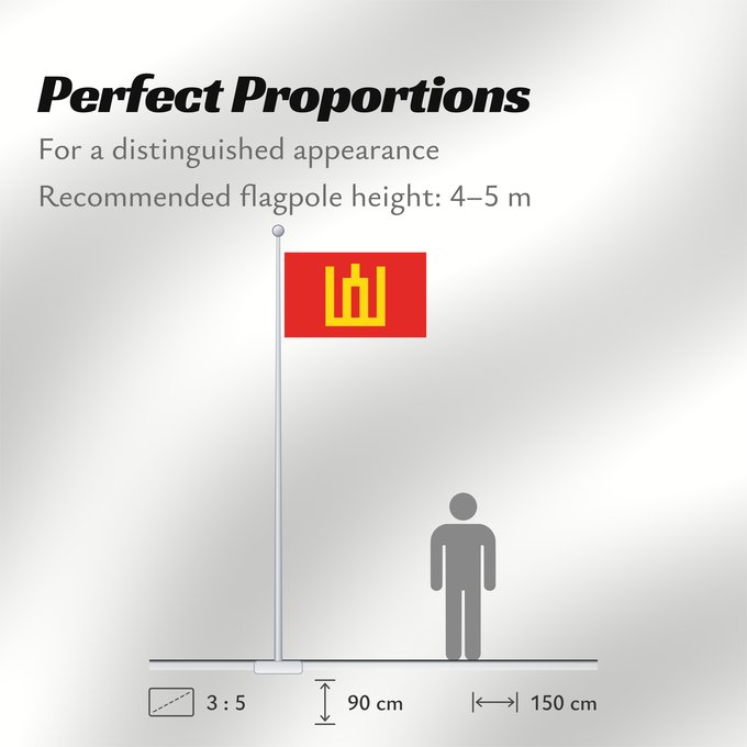 Flag Proportions: Lithuanian Army Armée lituanienne Ejército Lituano Litauische Armee Esercito lituano