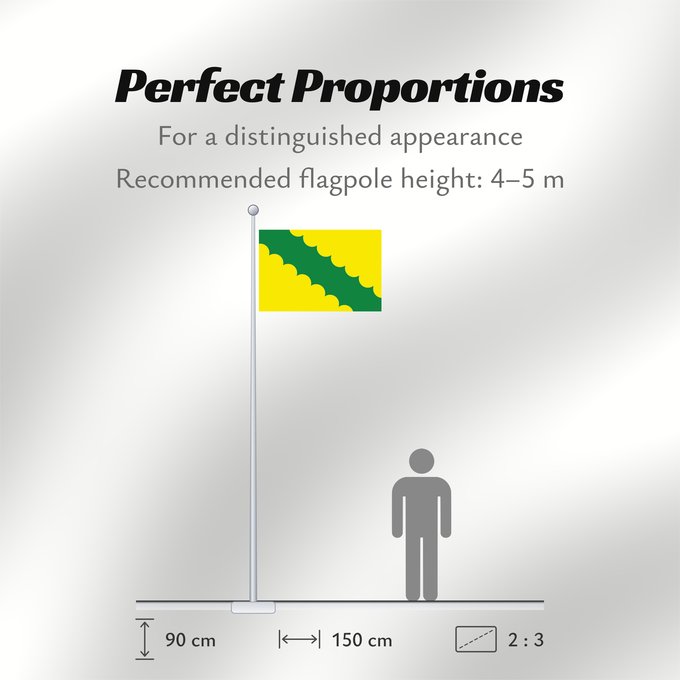 Flag Proportions: Vega Baja Municipality of Vega Baja, Puerto Rico Municipio de Vega Baja, Puerto Rico