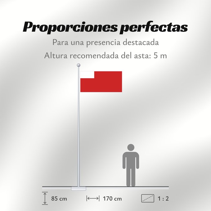 Proporciones de la bandera: Abu Dhabi	D Abou Dabi	علم أبو ظبي	Abu Dabi	Прапор Абу-Дабі