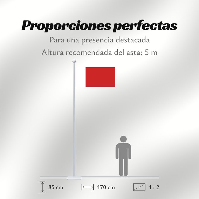 Proporciones de la bandera: Dubai	Dubaï