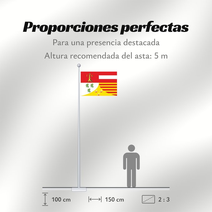 Proporciones de la bandera: Liège (fr)