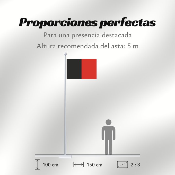 Proporciones de la bandera: Namur Province Namur Shows the flag of the province of Namur in Belgium