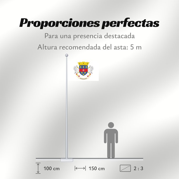 Proporciones de la bandera: Saint Barthélemy