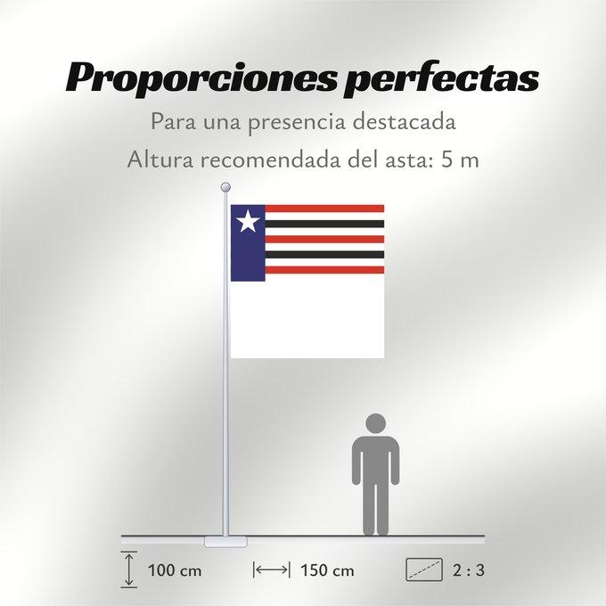 Proporciones de la bandera: Maranhão