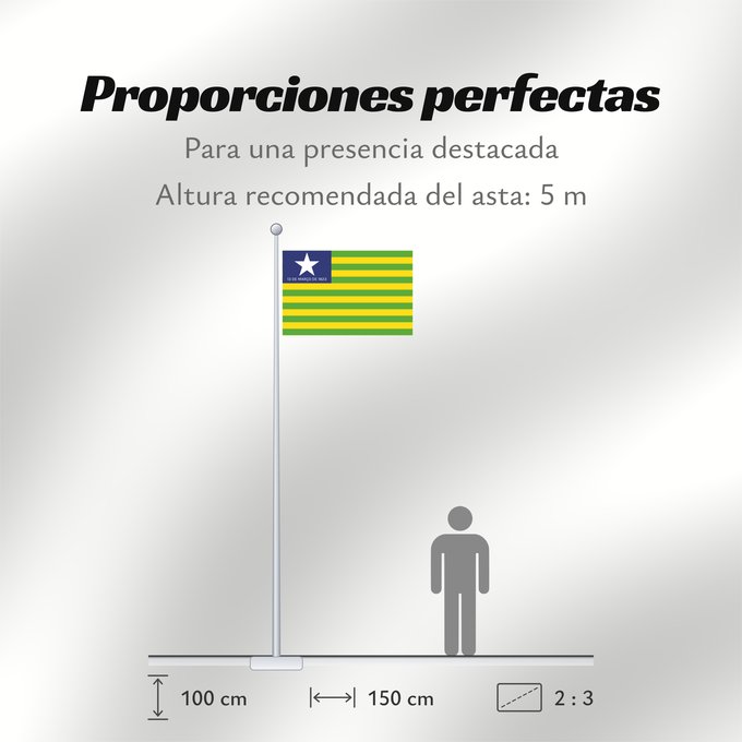 Proporciones de la bandera: Piauí