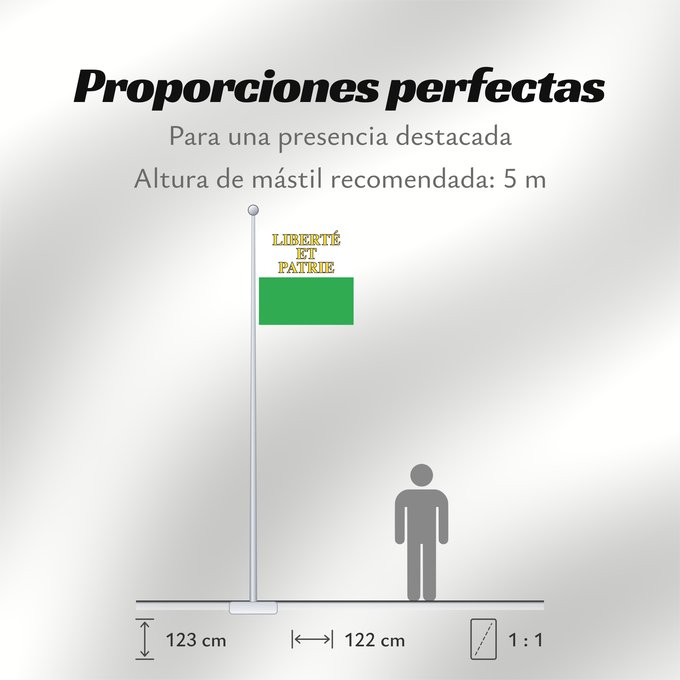 Proporciones de la bandera: Canton of Vaud	Vaud	canton de Vaud	República y cantón de Vaud	Vaud 