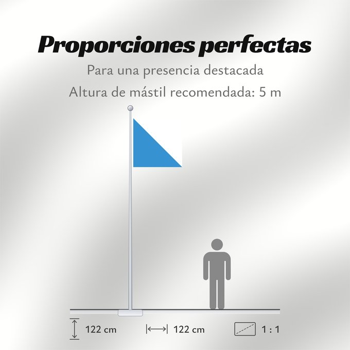 Proporciones de la bandera: Zürich (de)