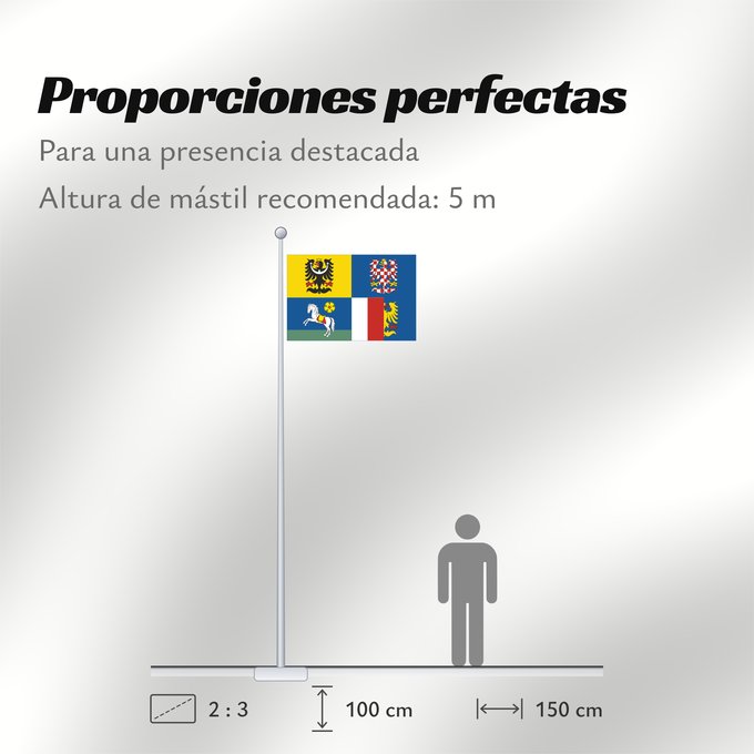 Proporciones de la bandera: Moravian-Silesian Region Région de Moravie-Silésie Región de Moravia-Silesia Moravian-Silesian Moravskoslezského kraje čtvrcený list v horním žerďovém žlutém poli slezská orlice v dolním žerďovém modrém poli na zeleném trávníku