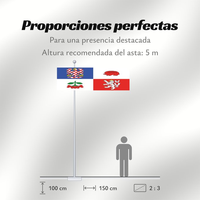 Proporciones de la bandera: Vysocina Region	Vysočina Region	Région de Vysočina	Región de Vysočina	Region Vysočina