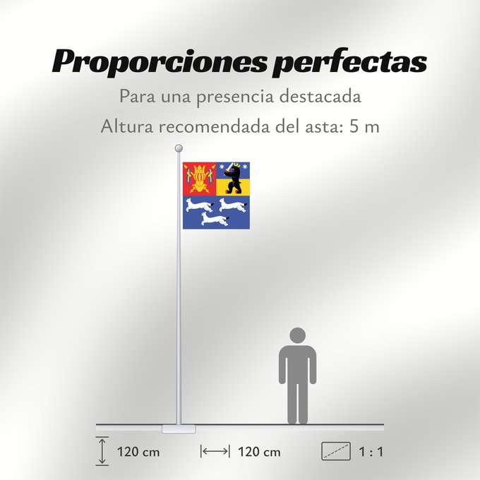 Proporciones de la bandera: Länsi-Suomen lääni