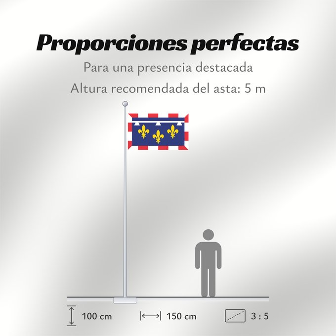 Proporciones de la bandera: Centre-Val de Loire	Unofficial flag of Centre  region  in France	Non-officiel de la région Centre-Val de Loire en France	Centro	Centre	Banniel anofisiel Kreiz-Traoñ al Liger e Frañs