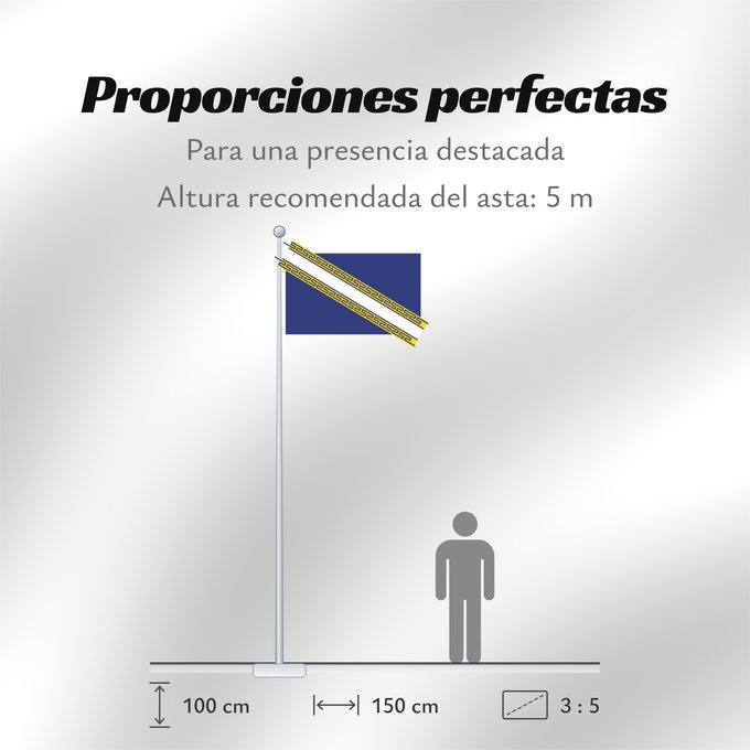 Proporciones de la bandera: Champagne-Ardenne Region Champagne-Ardenne in France Région Champagne-Ardenne en France Champaña-Ardenas