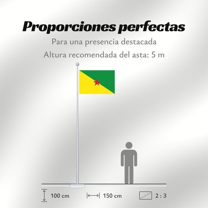 Proporciones de la bandera: French Guiana	Guyane	Guayana Francesa	Französisch-Guayana	Guyana Francese