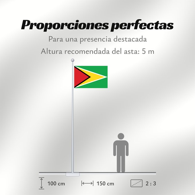 Proporciones de la bandera: Guyana Guiana Wayana wiphala Gujano Gwayana Wayana unancha Флаг Гайаны Guyanas Quốc kỳ Guyana