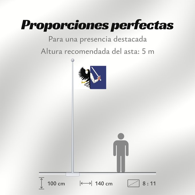 Proporciones de la bandera: Connacht W Connacht Connacht ou Connaught