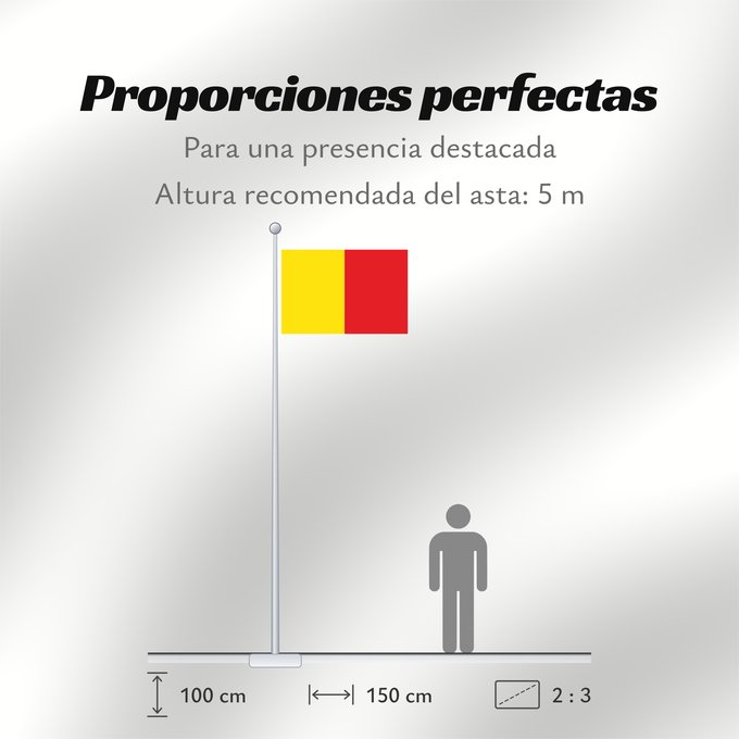 Proporciones de la bandera: Naples	Province of Naples	Province de Naples	Provincia de Naples	Provinz Naples	Napoli