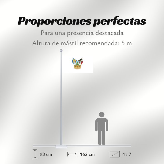 Proporciones de la bandera: Hidalgo hidalgo y fidalgo