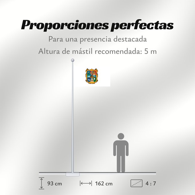 Proporciones de la bandera: Tamaulipas