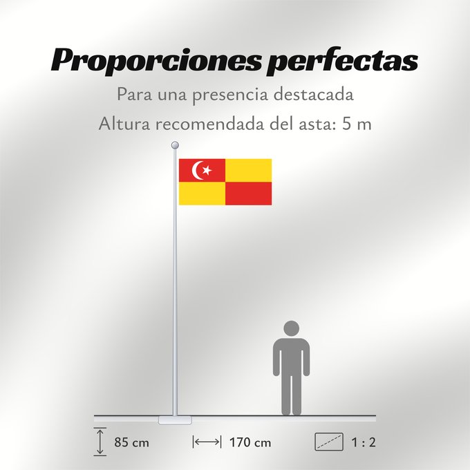 Proporciones de la bandera: Selangor	Selangor 	Malaysian state Selangor