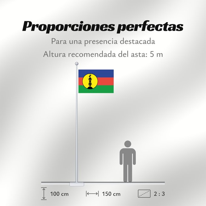Proporciones de la bandera: FLNKS	Kanak and Socialist National Liberation Front political party	Front de libération nationale kanak et socialiste	Colores Pantone http //www	Neukaledonien	Nuova Caledonia	Front d Alliberament Nacional Canac Socialista