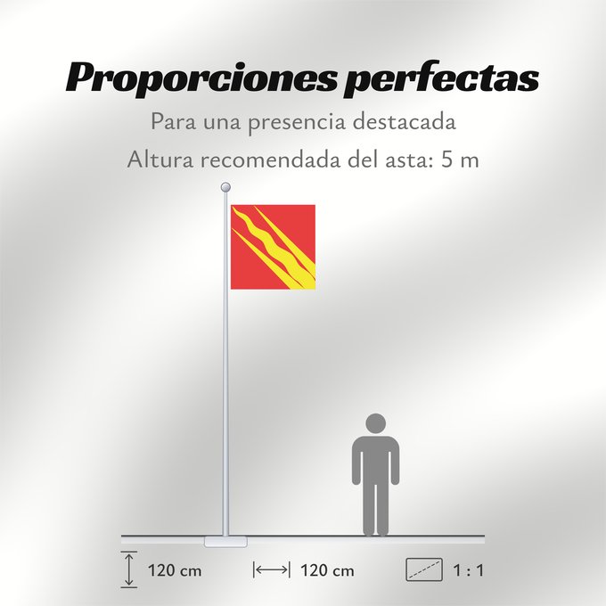 Proporciones de la bandera: Østfold	County of Østfold, Norway	comté d’Østfold