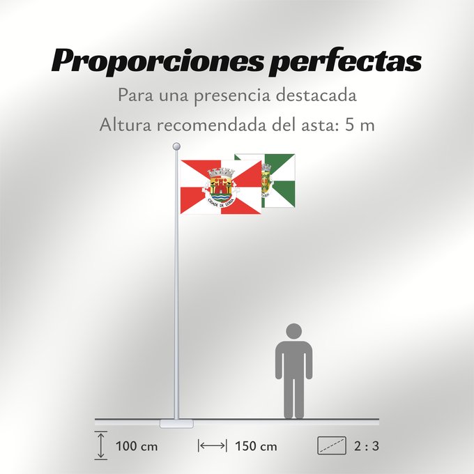 Proporciones de la bandera: Leiria