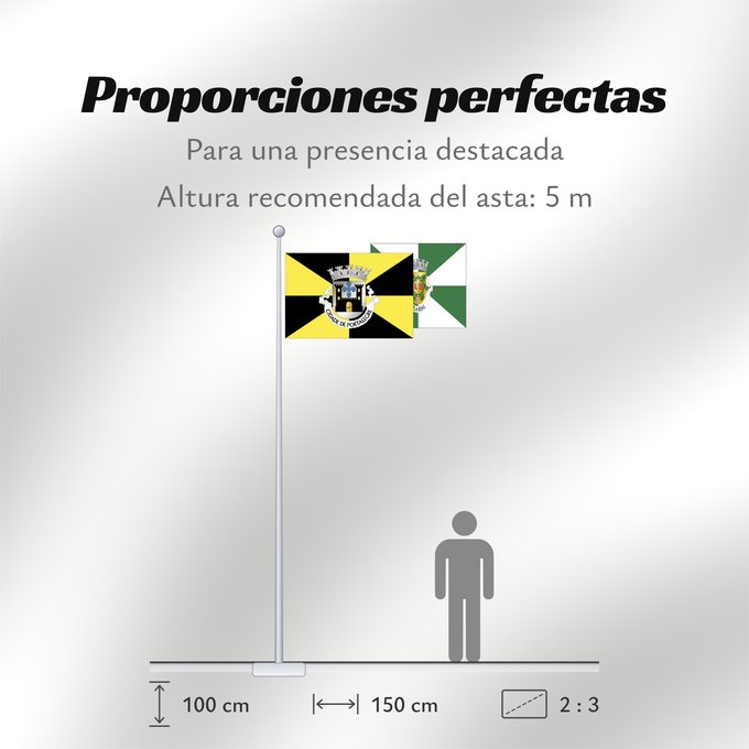 Proporciones de la bandera: Portalegre