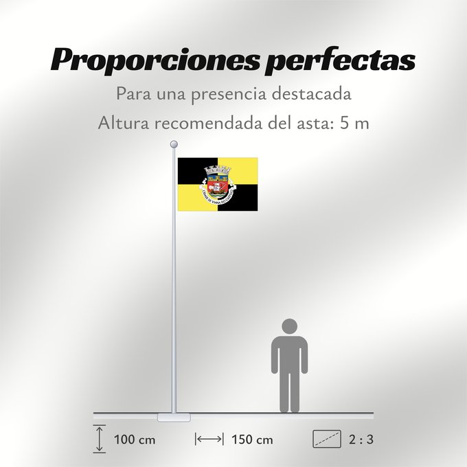 Proporciones de la bandera: Viana do Castelo