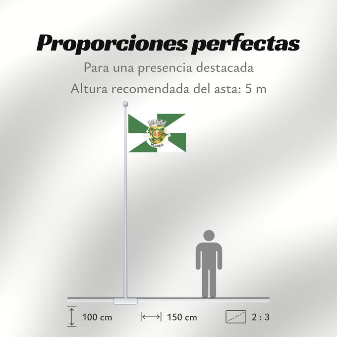 Proporciones de la bandera: Vila Real