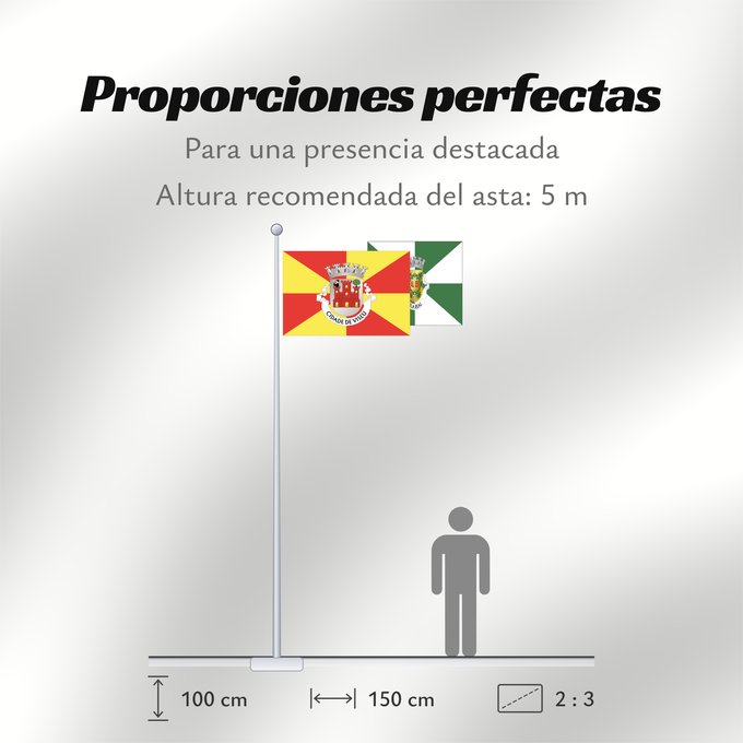 Proporciones de la bandera: Viseu