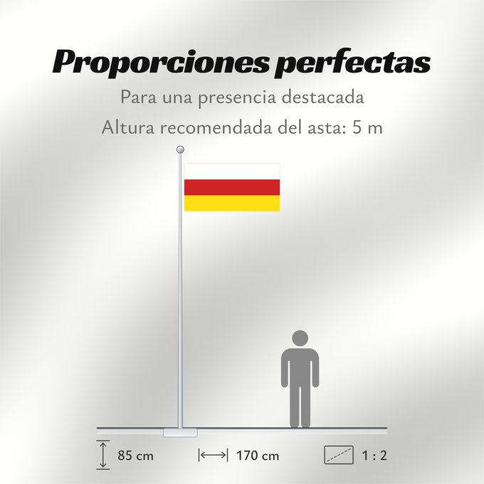 Proporciones de la bandera: North Ossetia	Republic of North Ossetia-Alania	North Ossetia-Alania	North Osetia-Alania	North Ossetia-Alania 	Nord-Alania	Цӕгат Ирыстоны тырыса	Флаг Северной Осетии
