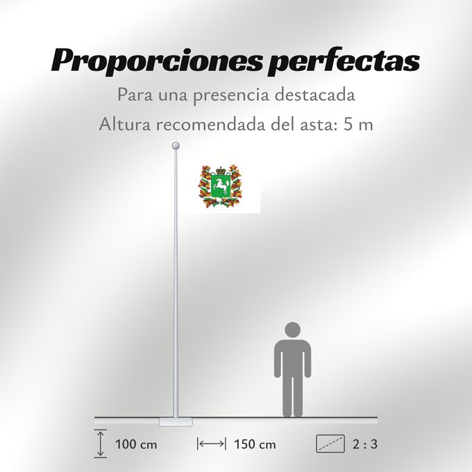 Proporciones de la bandera: Tomskaya oblast'