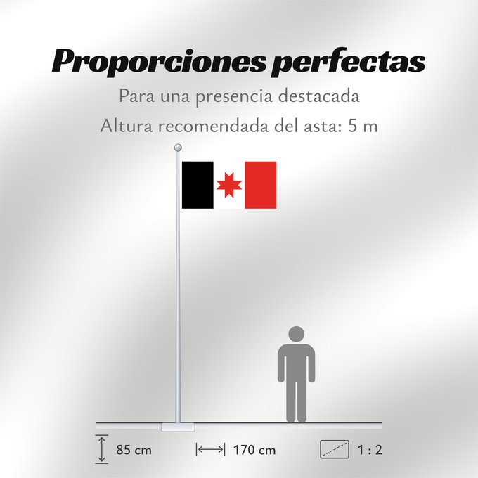 Proporciones de la bandera: Udmurtia Udmurtia. Drawn by Fibonacci República de Udmurtia Udmurtia. Dibujada por Fibonacci Uemura Republic Repubblica di Udmurtia Флаг Удмуртии. Автор Fibonacci Удмуртилэн флагез