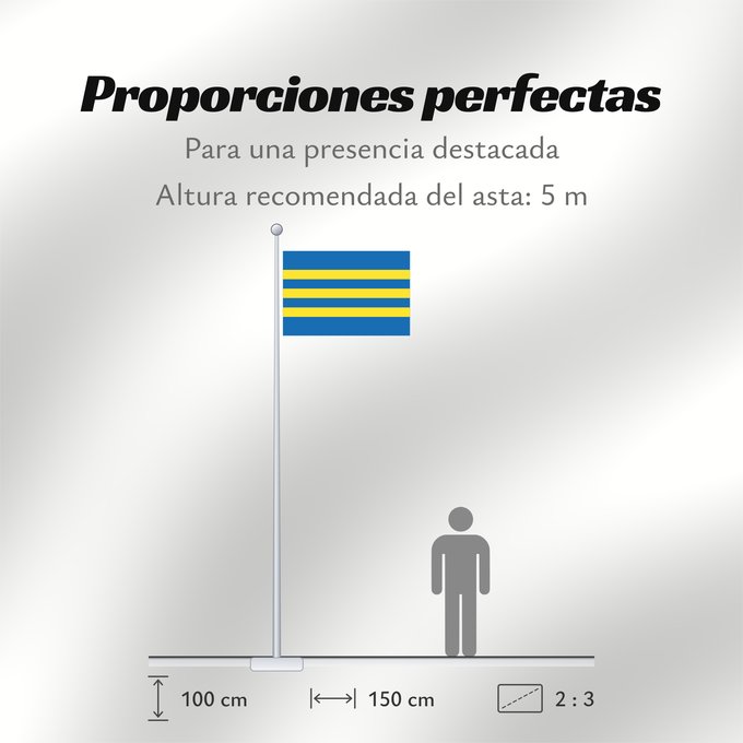 Proporciones de la bandera: Trnavsky vlajka	Trnava Region	Région de Trnava	Región de Trnava	Trnava	Trnava Regione