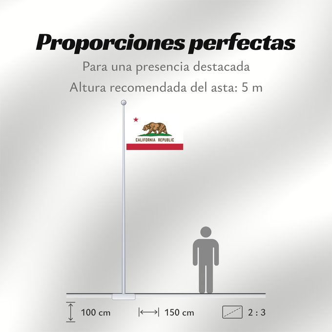 Proporciones de la bandera: California	Californie	Kalifornien	Californië	ᎠᏕᎳᏧᏢᎢ ᎦᏓᏘ	Ka hae Kaleponi	דגל מדינת קליפורניה	Californiae	Ahééháshį́į́h Hahoodzo bidah naatʼaʼí	Флаг Калифорнии	Američke savezne države Kalifornije	ⴰⵙⴻⵏⵢⴰⵍ ⵏ ⴽⴰⵍⵉⴼⵓⵕⵏⵢⴰ