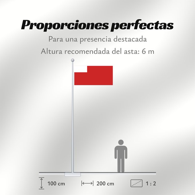 Proporciones de la bandera: Abu Dhabi	D Abou Dabi	علم أبو ظبي	Abu Dabi	Прапор Абу-Дабі