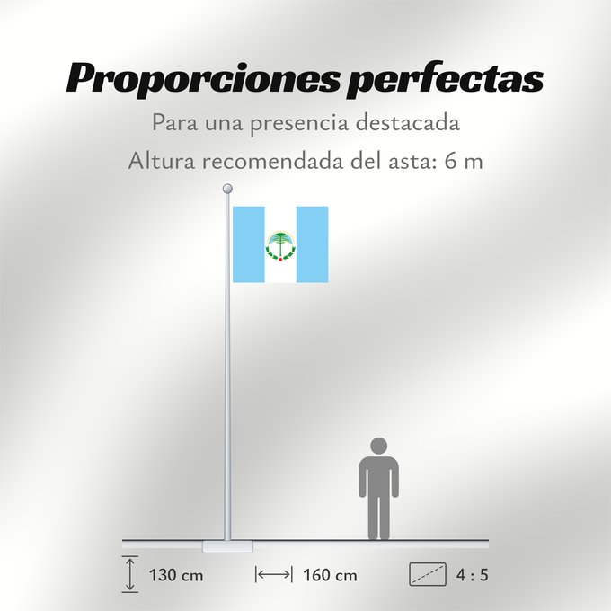 Proporciones de la bandera: Neuquén