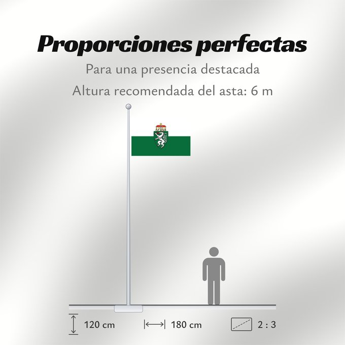 Proporciones de la bandera: Styria	White-green. Colours of the state of Styria	Styrie	Estiria	Weiß-grün. Landesfarben der Steiermark	Stiria