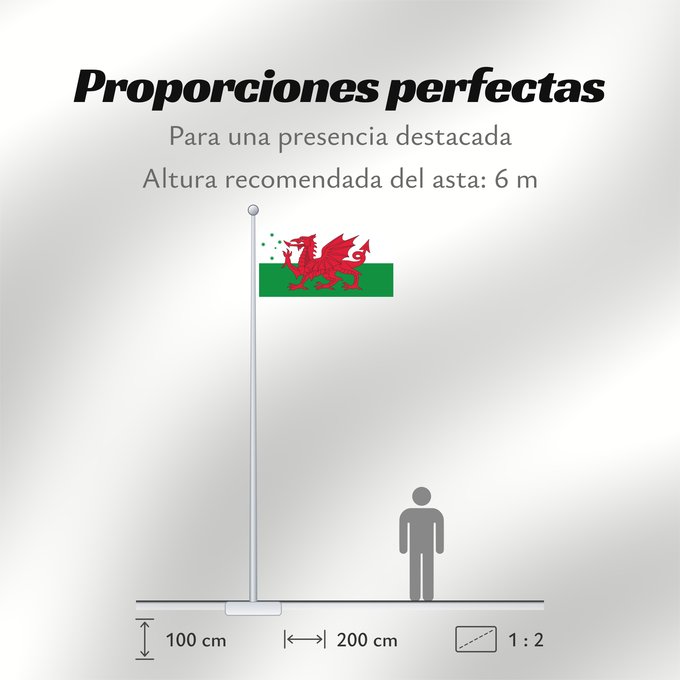 Proporciones de la bandera: Australian Welsh heritage