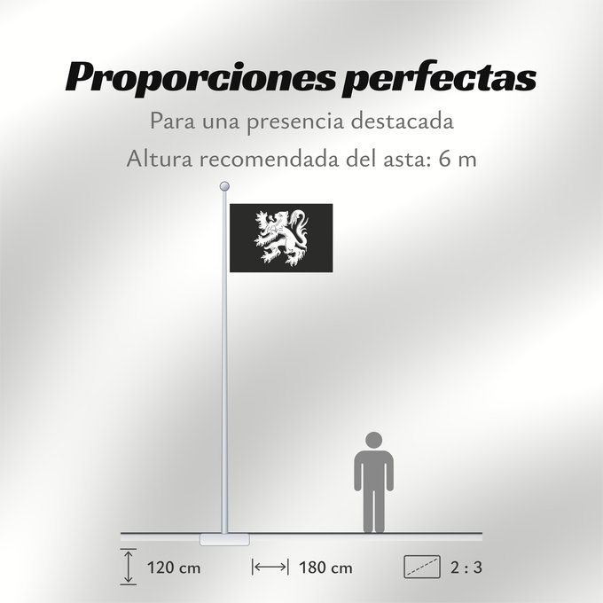 Proporciones de la bandera: Asse	Municipal flag of Asse, Belgium