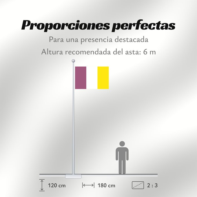 Proporciones de la bandera: Ath Belgian commune of Ath Aat