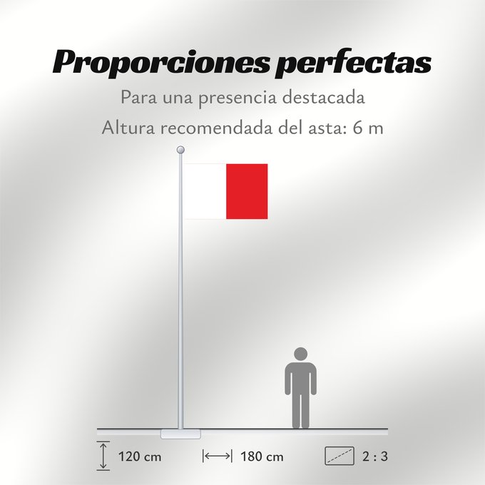 Proporciones de la bandera: Beaumont	Stad Beaumont  Waals Biômont